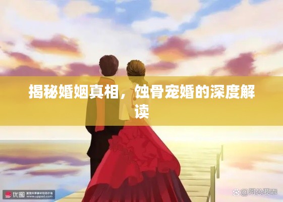 揭秘婚姻真相，蚀骨宠婚的深度解读