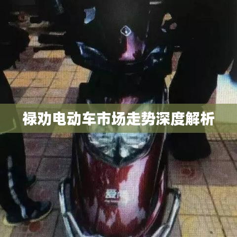 禄劝电动车市场走势深度解析