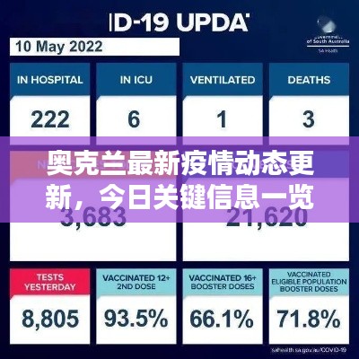 奥克兰最新疫情动态更新，今日关键信息一览