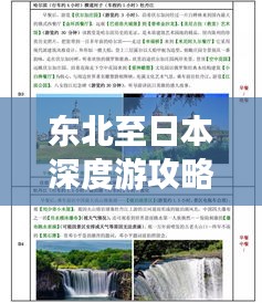 东北至日本深度游攻略，最新旅行指南全掌握