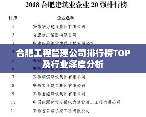 合肥工程管理公司排行榜TOP及行业深度分析