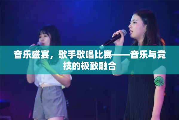 音乐盛宴，歌手歌唱比赛——音乐与竞技的极致融合