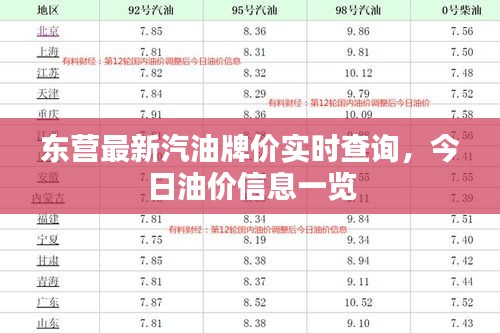 东营最新汽油牌价实时查询，今日油价信息一览