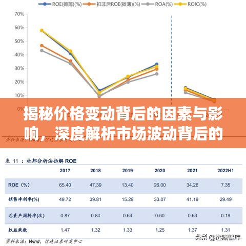 揭秘价格变动背后的因素与影响，深度解析市场波动背后的秘密！