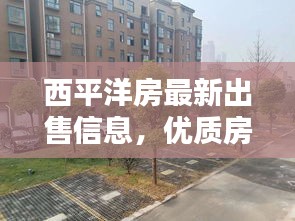 西平洋房最新出售信息，优质房源一览