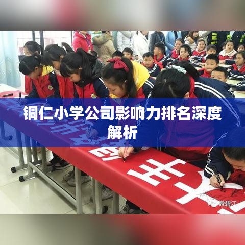 铜仁小学公司影响力排名深度解析