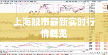 上海股市最新实时行情概览