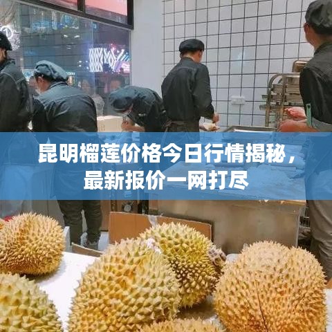 昆明榴莲价格今日行情揭秘，最新报价一网打尽