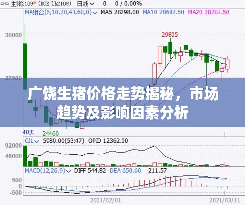 广饶生猪价格走势揭秘，市场趋势及影响因素分析