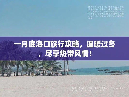 一月底海口旅行攻略，温暖过冬，尽享热带风情！