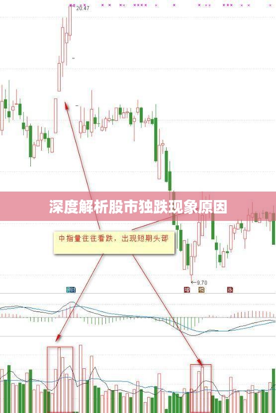 深度解析股市独跌现象原因