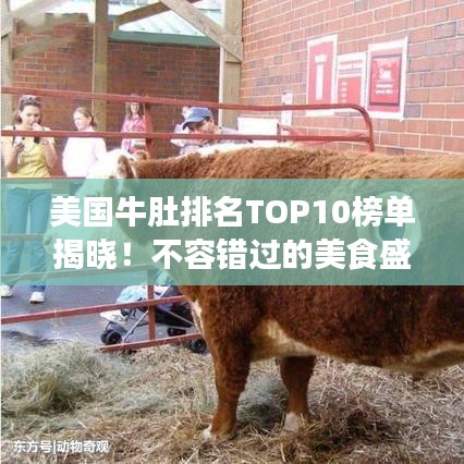 美国牛肚排名TOP10榜单揭晓！不容错过的美食盛宴！