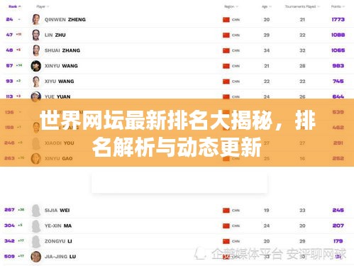 世界网坛最新排名大揭秘，排名解析与动态更新