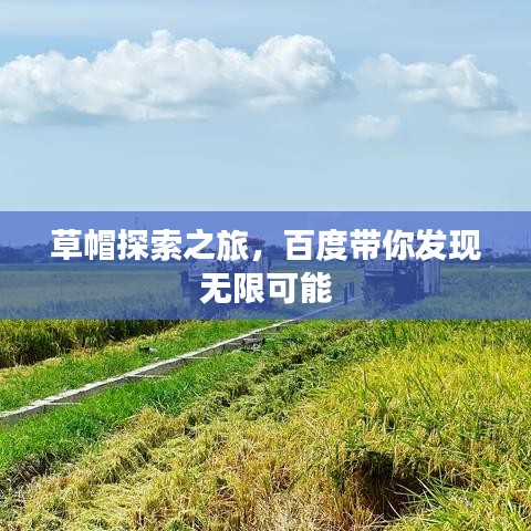 草帽探索之旅，百度带你发现无限可能