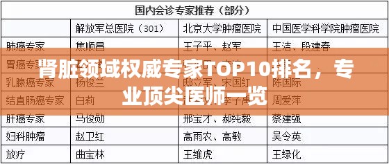 肾脏领域权威专家TOP10排名，专业顶尖医师一览