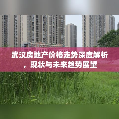 武汉房地产价格走势深度解析，现状与未来趋势展望