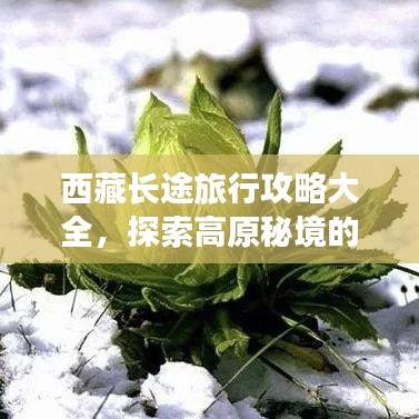 西藏长途旅行攻略大全，探索高原秘境的必备指南