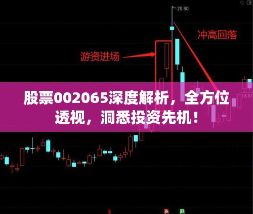 股票002065深度解析，全方位透视，洞悉投资先机！