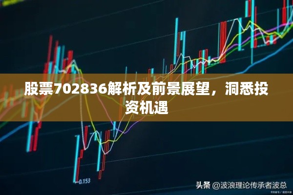 股票702836解析及前景展望，洞悉投资机遇