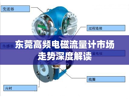 东莞高频电磁流量计市场走势深度解读