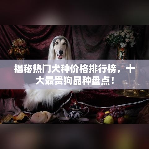 揭秘热门犬种价格排行榜，十大最贵狗品种盘点！