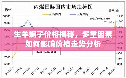 生羊蝎子价格揭秘，多重因素如何影响价格走势分析