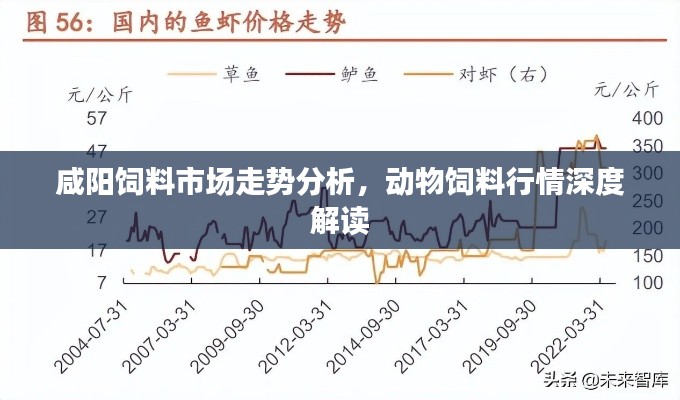 咸阳饲料市场走势分析，动物饲料行情深度解读