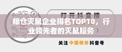 粮仓灭鼠企业排名TOP10，行业领先者的灭鼠服务