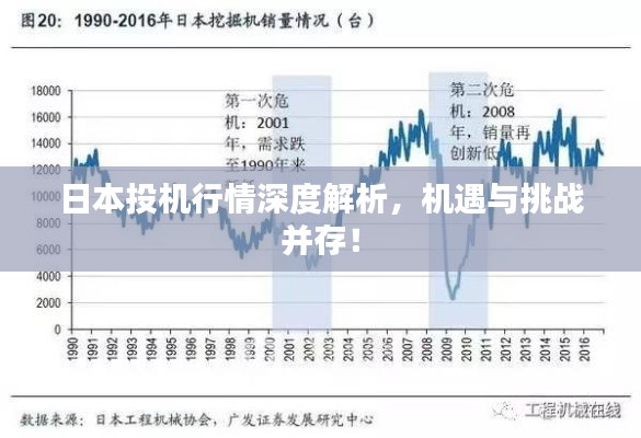 日本投机行情深度解析，机遇与挑战并存！