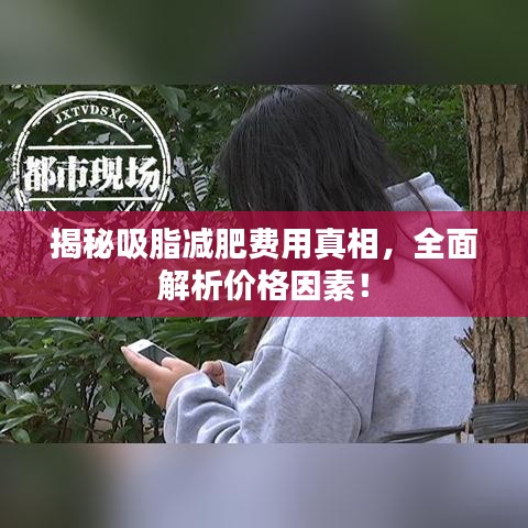 揭秘吸脂减肥费用真相，全面解析价格因素！