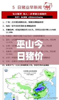 巫山今日猪价走势分析，最新消息查询与动态解读