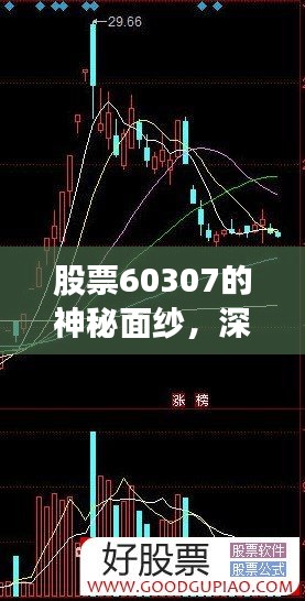 股票60307的神秘面纱，深度解析与未来前景展望