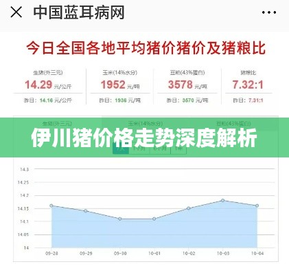 伊川猪价格走势深度解析
