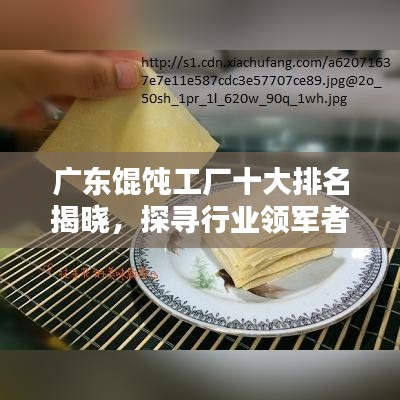 广东馄饨工厂十大排名揭晓，探寻行业领军者的奥秘