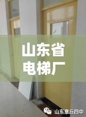 山东省电梯厂家排名前十揭晓，优质品牌一览