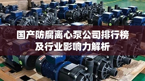 国产防腐离心泵公司排行榜及行业影响力解析