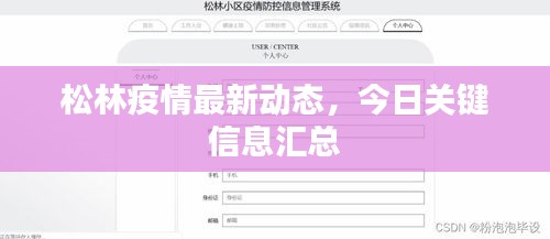 松林疫情最新动态，今日关键信息汇总