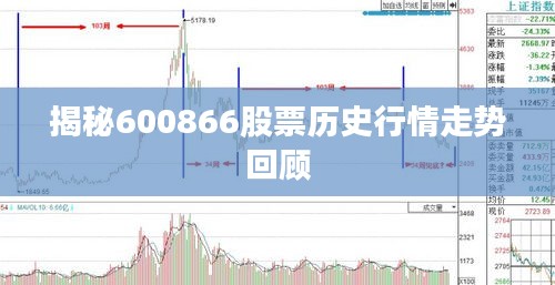 揭秘600866股票历史行情走势回顾