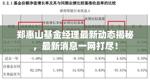 郑惠山基金经理最新动态揭秘，最新消息一网打尽！