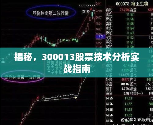 揭秘，300013股票技术分析实战指南