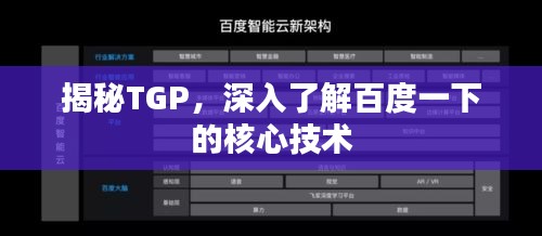 揭秘TGP，深入了解百度一下的核心技术