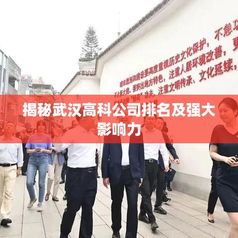 揭秘武汉高科公司排名及强大影响力