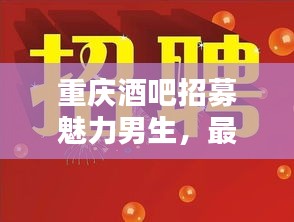 重庆酒吧招募魅力男生，最新招聘信息，速览！