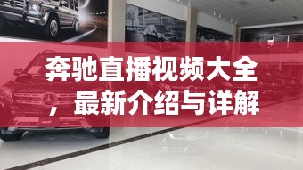 奔驰直播视频大全，最新介绍与详解