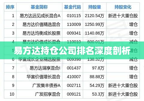 易方达持仓公司排名深度剖析