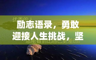 励志语录，勇敢迎接人生挑战，坚定信念活下去！