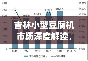 吉林小型豆腐机市场深度解读，行情分析与趋势展望