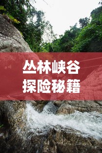 丛林峡谷探险秘籍，一份完整旅游攻略