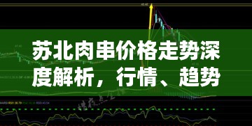 苏北肉串价格走势深度解析，行情、趋势一网打尽！