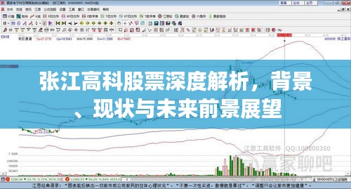 张江高科股票深度解析，背景、现状与未来前景展望